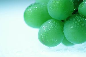 名古屋市の成婚率が高い結婚相談所